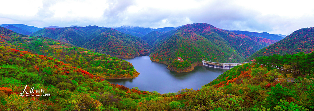 山西平陆:大河庙水库层林尽染风景如画【6】