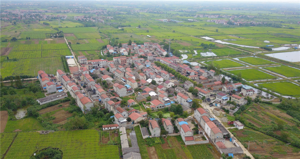 2.����ȫò��