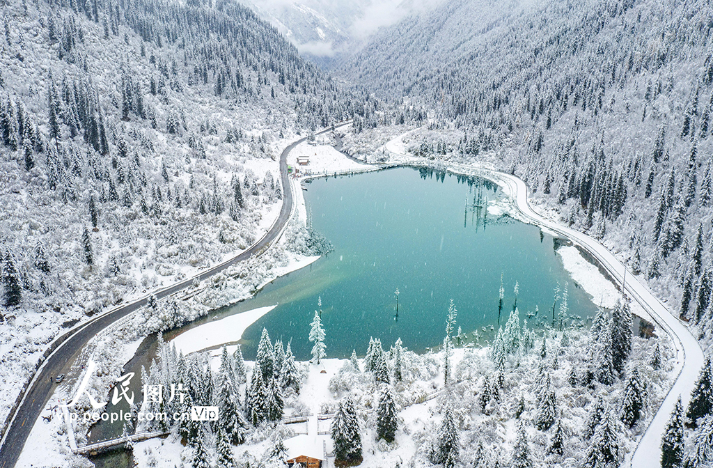 �Ĵ����ӣ���ű���ѩ�����������ɾ���9��