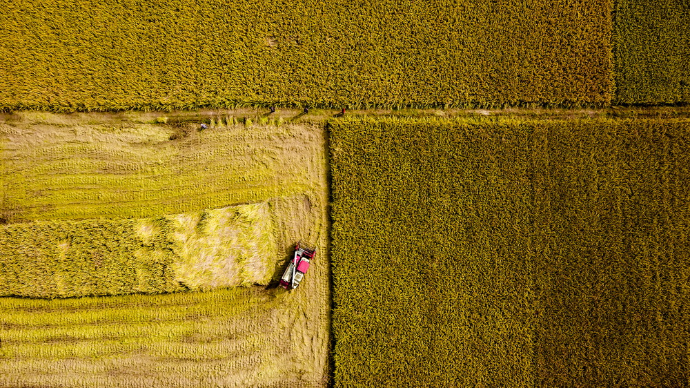 10��21�գ�����ׯ��̨��ׯ����ׯ���ո�����ջ�ˮ�������˻���Ƭ����