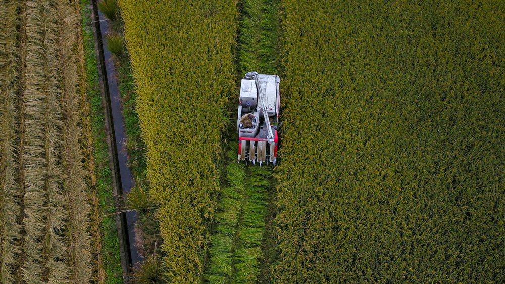 10��29�գ��ո���ڶŻ��´�����鵾�����ո�ˮ�������˻���Ƭ����