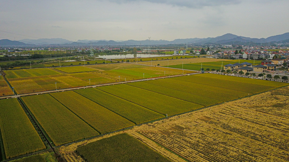 ����10��29������������з�����Ż��´����鵾����˻���Ƭ����