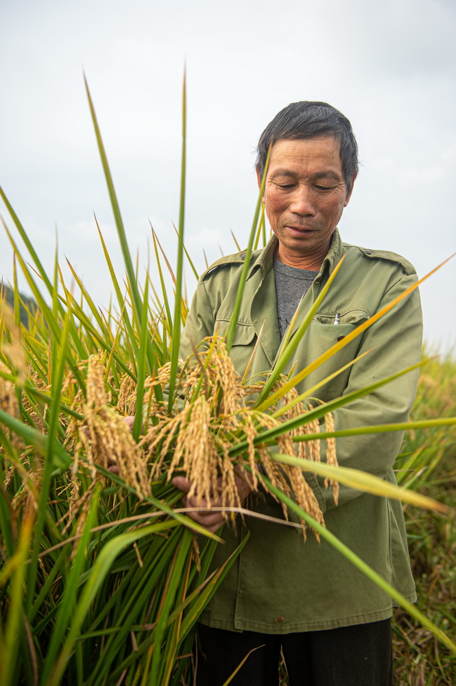 10��29�գ��Ż��´�������ղ�鷨�����鵾���ڲ鿴ˮ�����롣