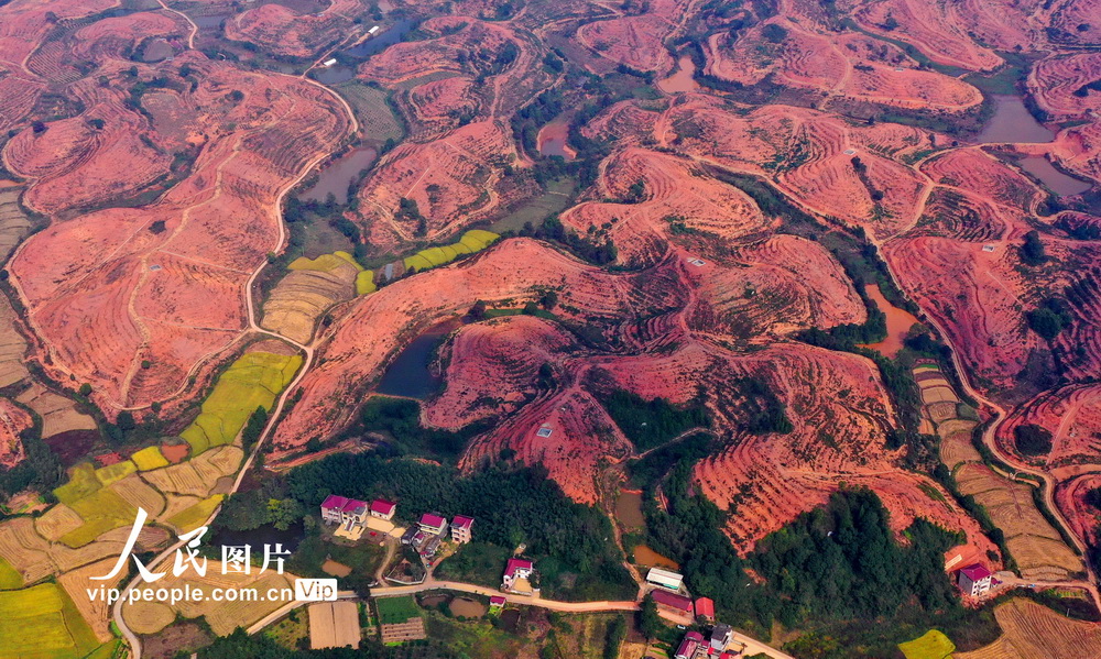 ����̩�ͣ��������� ��ɫ��չ��2��