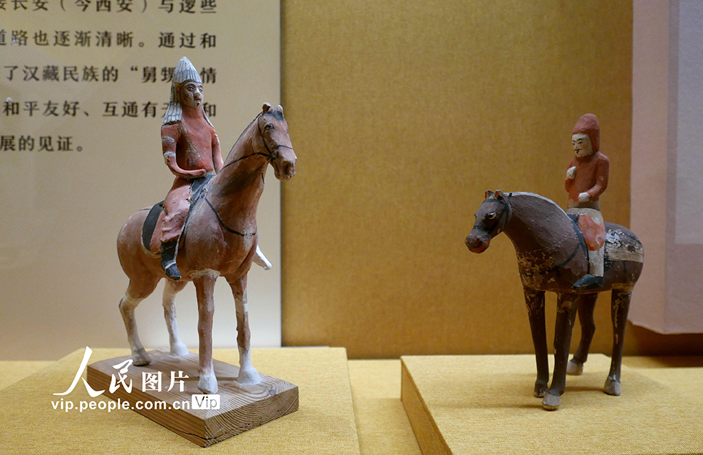 ����ެ�ŵ�������ʡ����Ʒ������չ���ڹ��ݿ�Ļ��10��