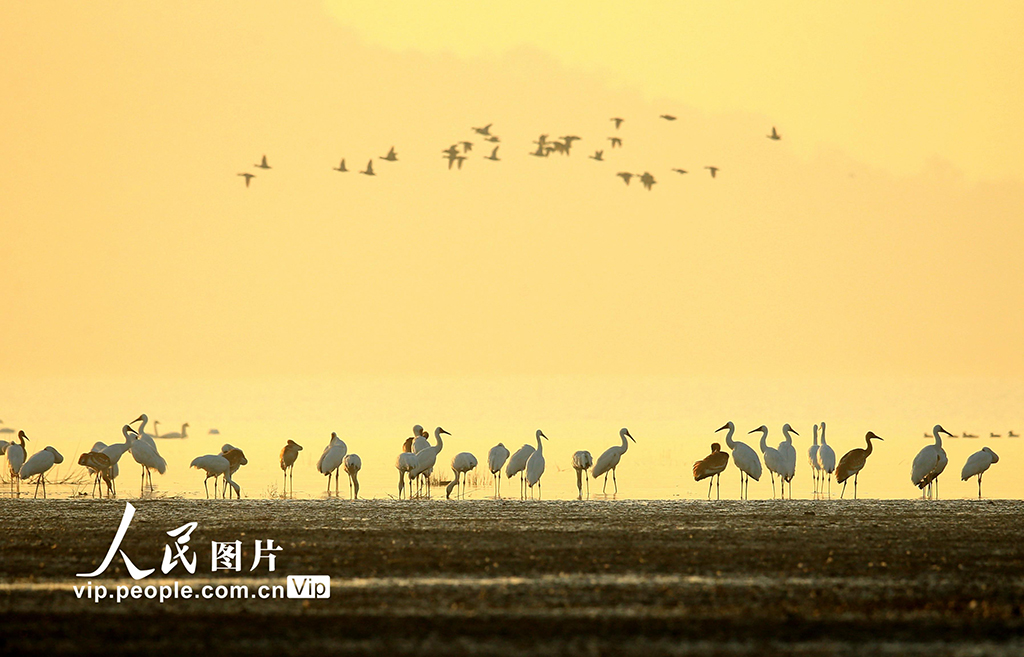 ����������۶����ӭ����������Խ����4��