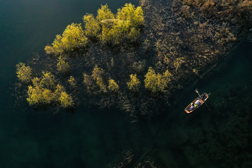 11月10日，小船在阿哈湖国家湿地公园内游弋（无人机照片）。