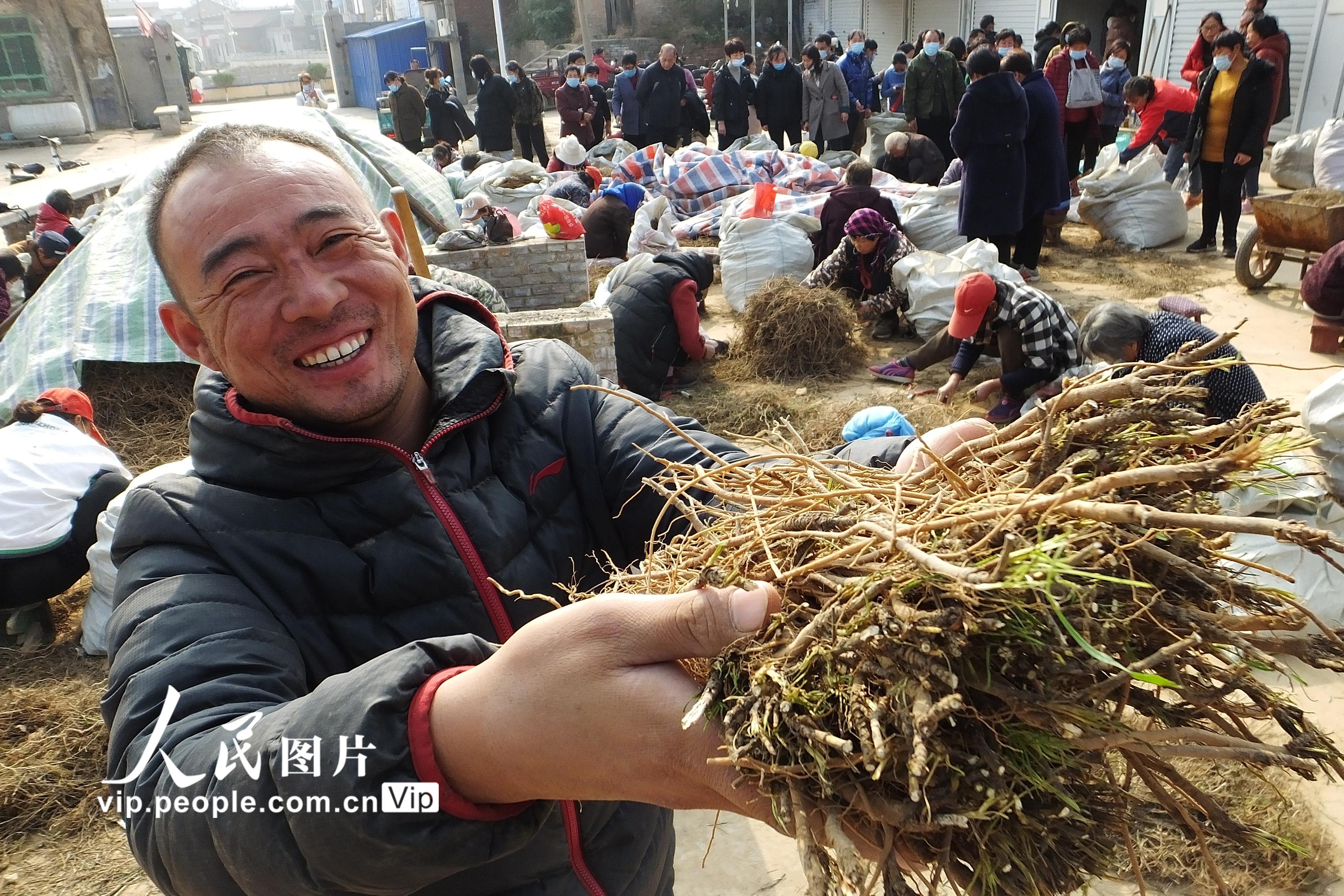 ������ǧ��ҩ�硱��ҩ�ķ��մ���æ��3��