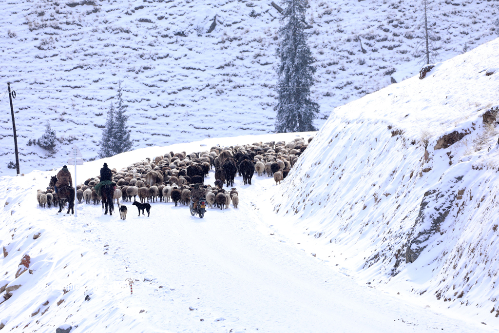 �½���Ȫ����������ת����6��