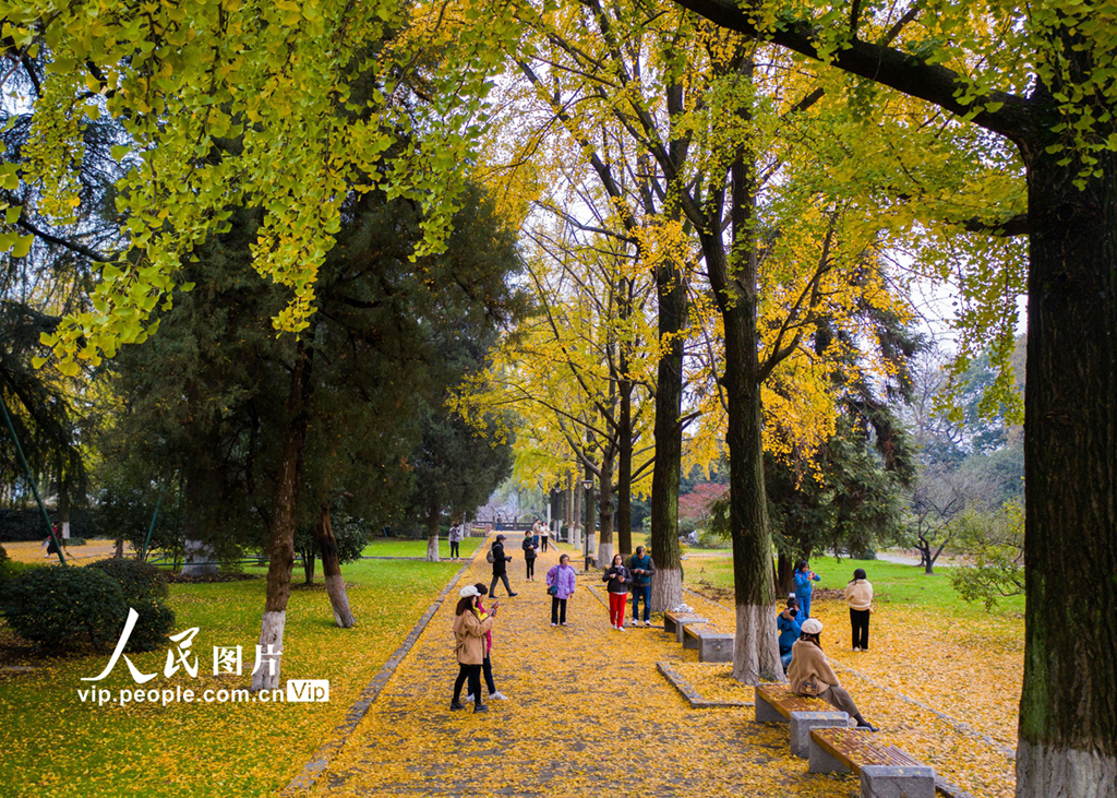 11��22�գ��������Ͼ�����������������ӡ�