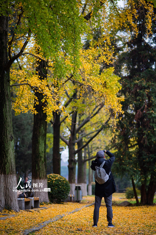 11��22�գ��������Ͼ�����������������ӡ�