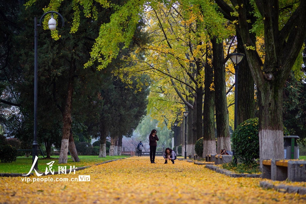 11��22�գ��������Ͼ�����������������ӡ�