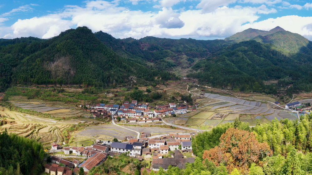 位于福建省三明市泰宁县新桥乡东部山区的革命老区基点村岭下村立足