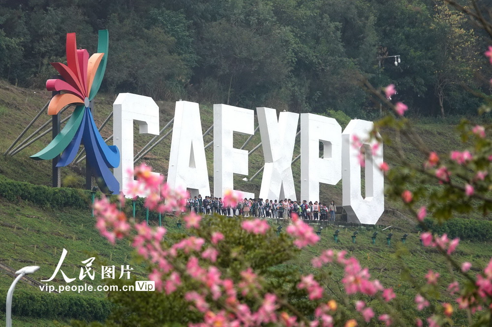 11��27�գ�һȺѧ�����������ʻ�չ���Ļ�չ���¡��й�-���˲����ᣨӢ�ļ��CAEXPO����LOGO���߹���
