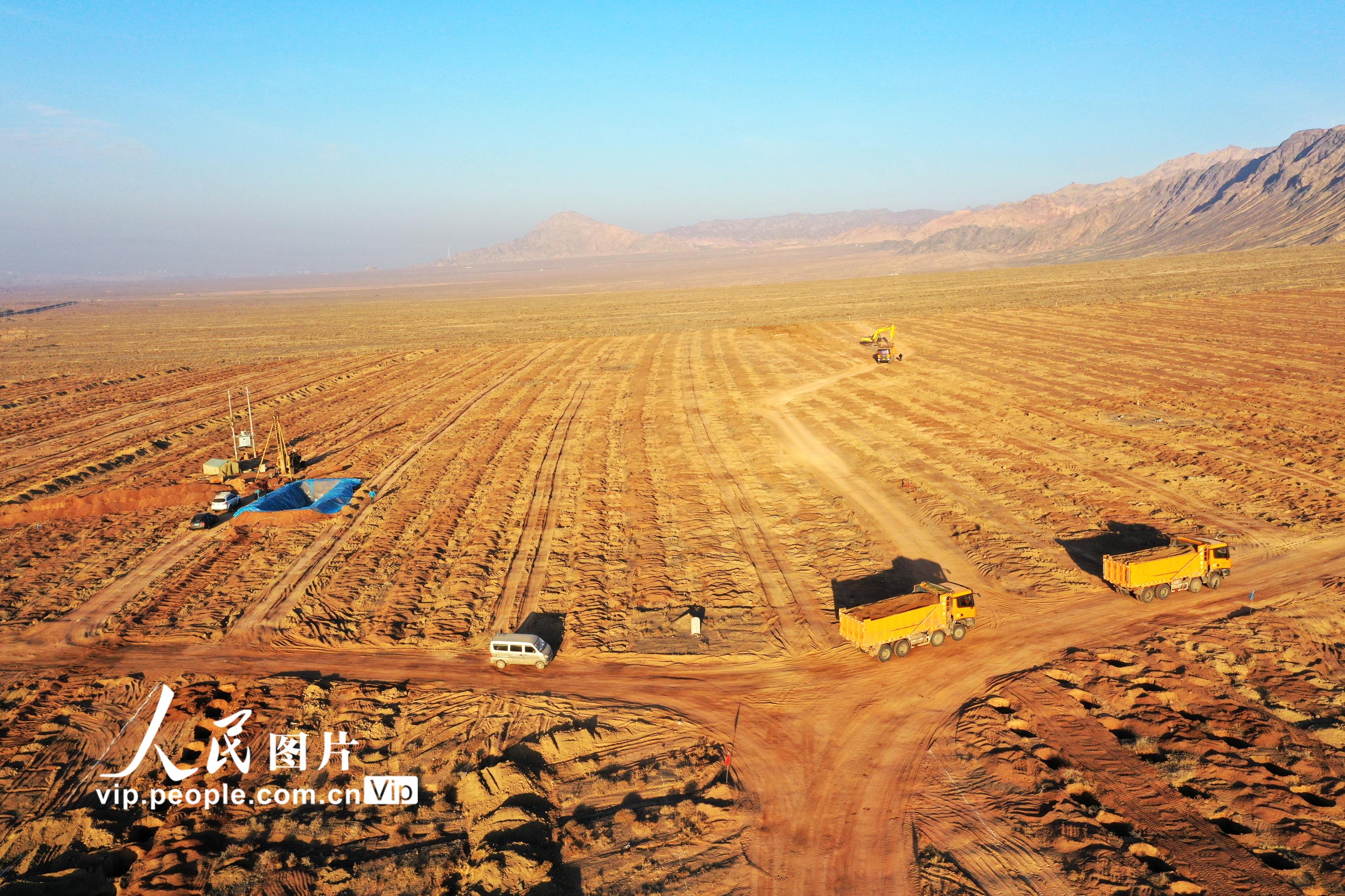 甘肅張掖：元寶楓國家儲備林建設項目加速推進【3】