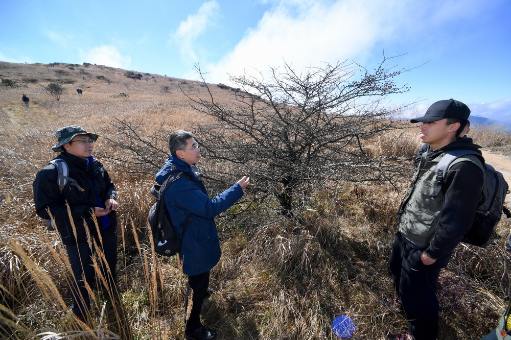 12��1�գ��ƿ���Ա������ɽ���ҹ�԰�Ƹ�ɽ��������ɽ�ݵ�ֲ����