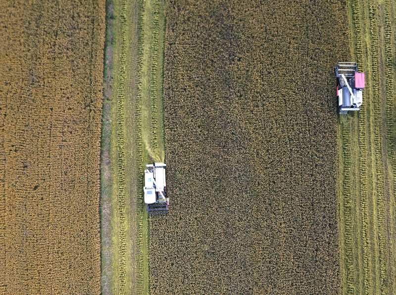 12��4�գ��������������ڴ�ũ���ʻ�ո���ո�ˮ�������˻���Ƭ����