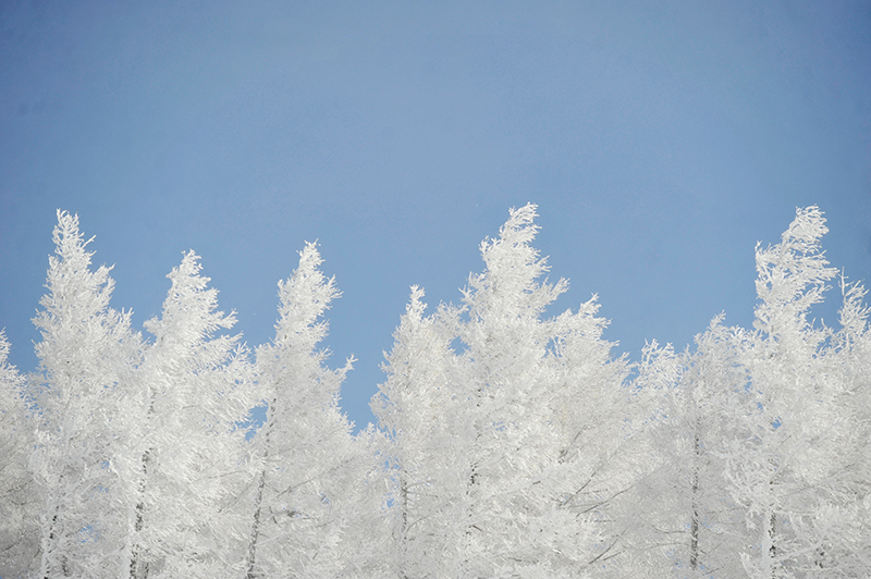 ����12��4��������������������������վ�ɫ��