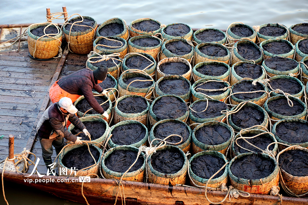 �������Ƹۣ��غ�40����Ķͷ�����ϲ˿��ɡ�7��