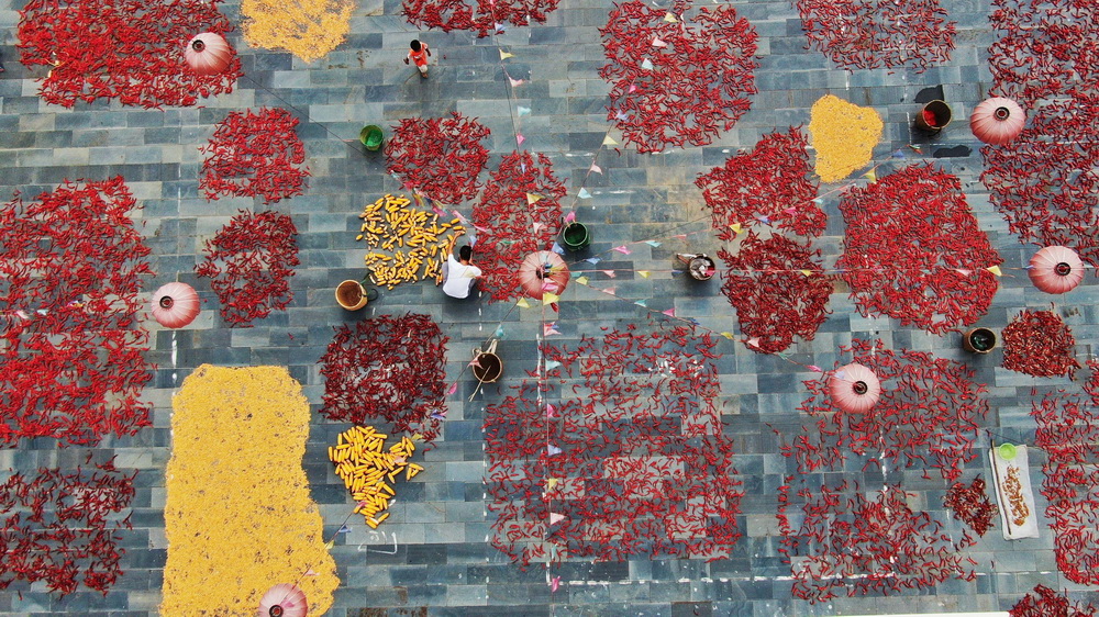 8月15日，貴州省錦屏縣大同鄉秀洞村村民在晾晒農作物（無人機照片）。新華社發（楊曉海 攝）