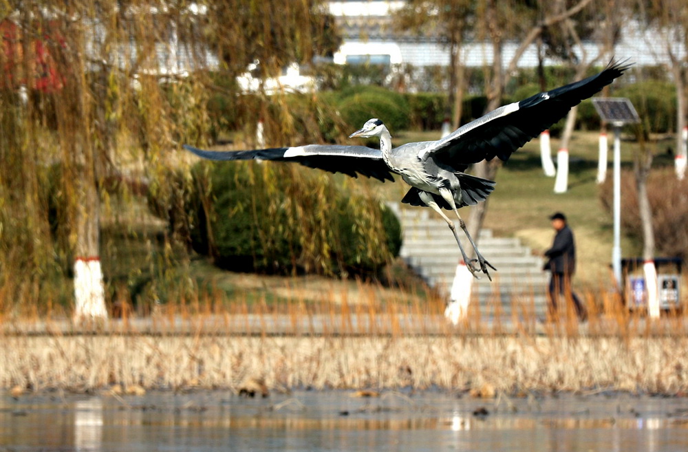 12��15������ĺ�������ʪ�ع�԰һ�ǡ�