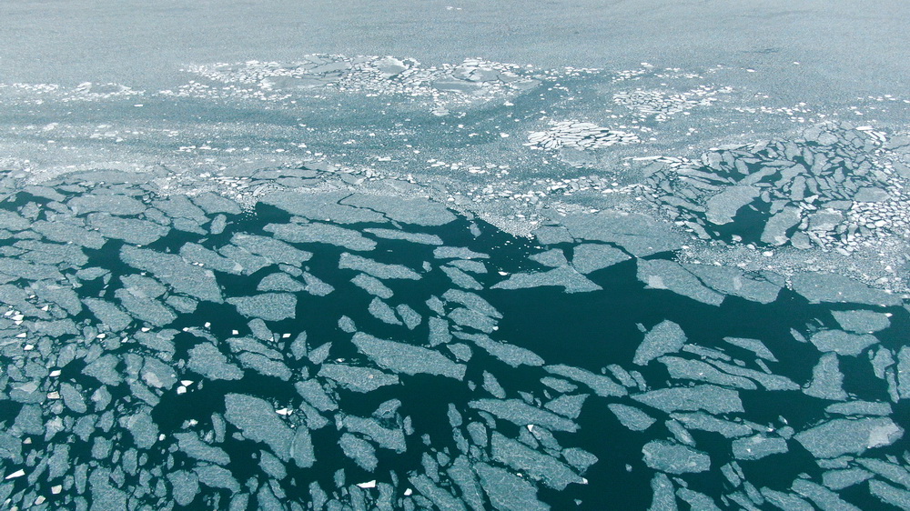 12��17��������ຣ����һ�ǣ����˻���Ƭ����