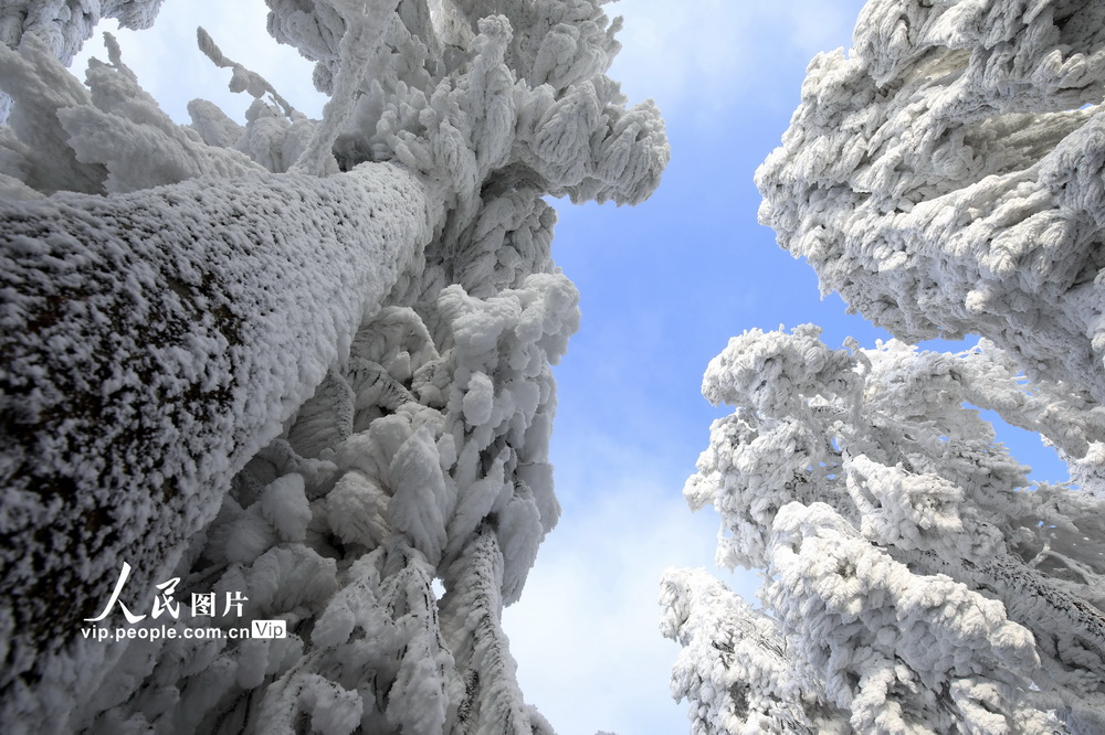 2020��12��18���ڹ���ʡ�ӽ��ؼӰ�������ɽ�������ڡ���ۡ�