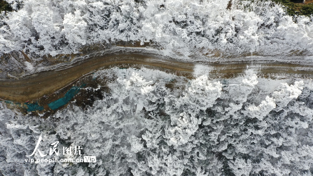 2020��12��18���ڹ���ʡ�ӽ��ؼӰ�������ɽ�������ڡ���ۡ�