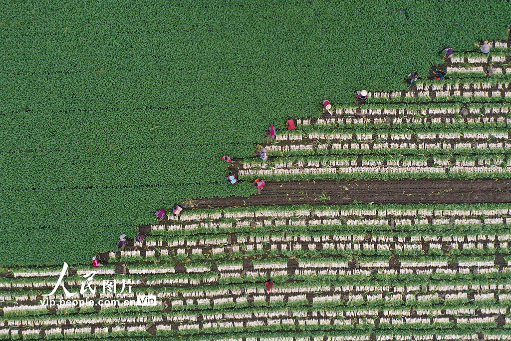 �Ĵ������ܲ�������3��