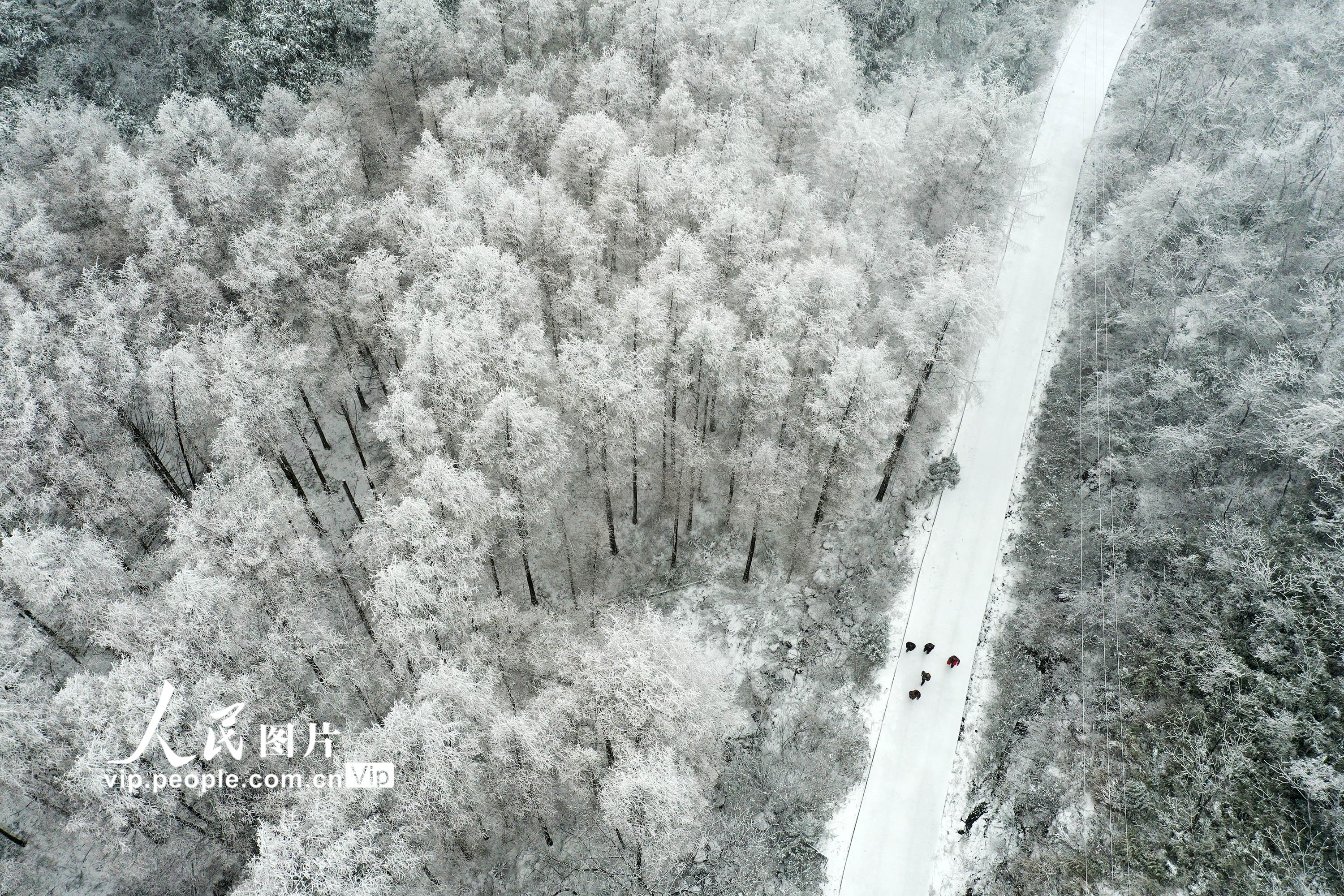 ����ǭ����ɽ�����ս���ѩ