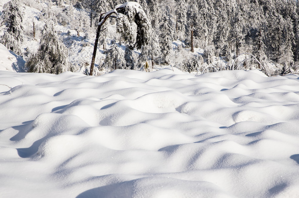 2021年1月2日拍攝的龍蒼溝國家森林公園冬景。