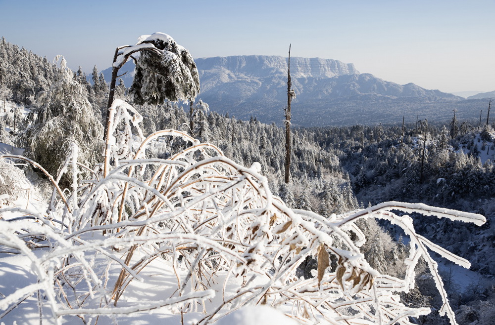 2021年1月2日拍攝的龍蒼溝國家森林公園冬景。