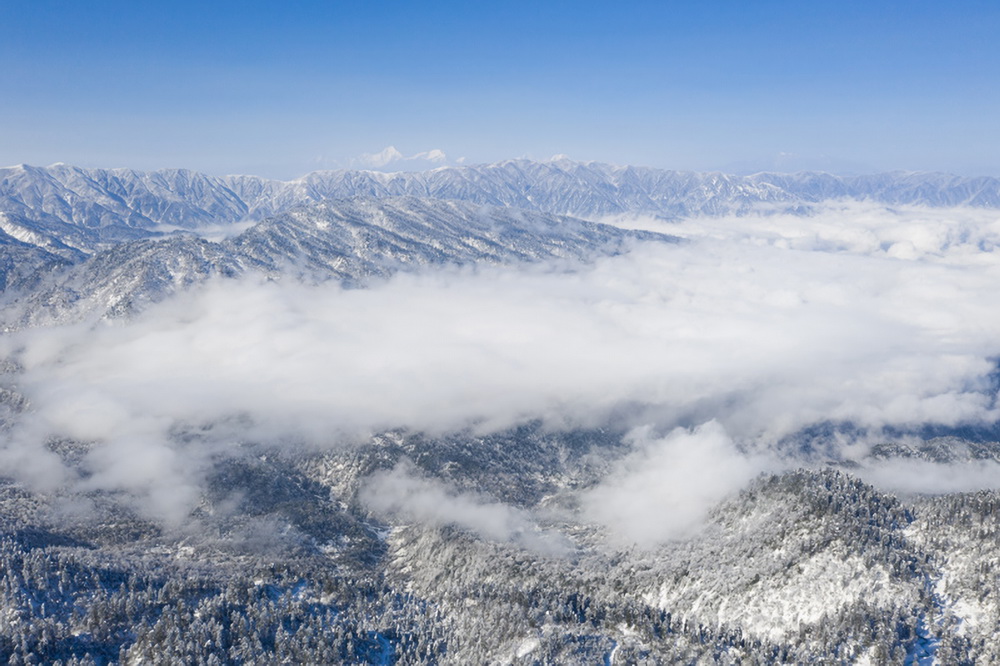 從龍蒼溝國家森林公園遠眺貢嘎雪山的景色（2021年1月2日攝，無人機照片）。