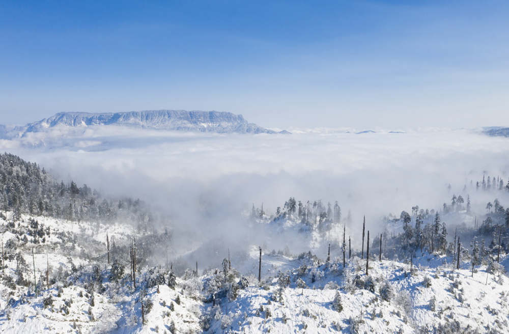 從龍蒼溝國家森林公園遠眺瓦屋山的景色（2021年1月2日攝，無人機照片）。