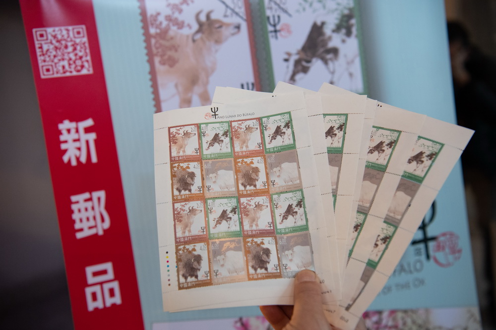 1月5日，在新馬路澳門郵政總局，市民展示選購的牛年生肖郵票。新華社記者 張金加 攝