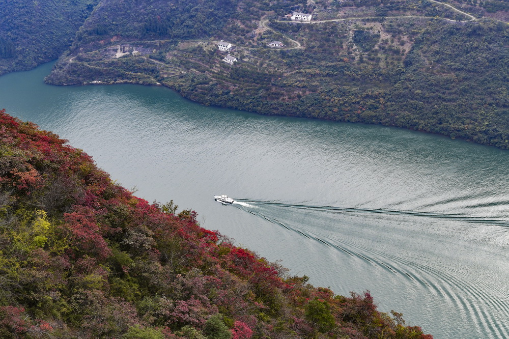 這是2019年11月23日拍攝的位於重慶市巫山縣境內的長江巫峽段景象。
