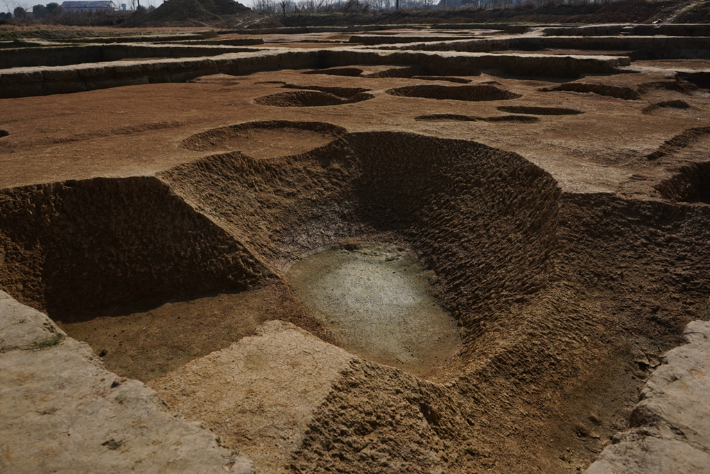 这是罗子国城遗址（罗城遗址）小洲罗地点考古挖掘现场（1月9日摄）。新华社记者 李紫薇 摄
