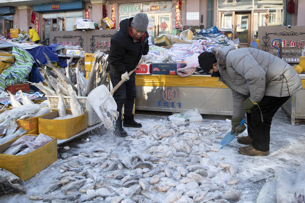 1月9日，商戶在撫遠“東極魚市”內整理凍魚。