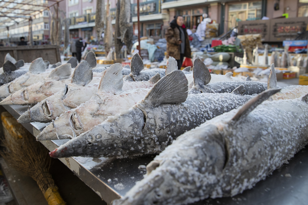 1月9日在撫遠“東極魚市”內拍攝的凍魚。