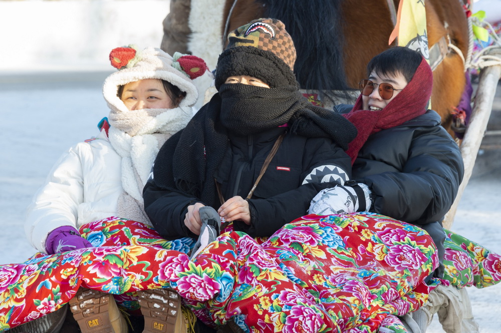 1月13日，遊客在北極村乘坐馬拉爬犁遊玩。