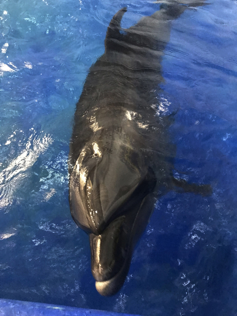 ͼƬ���£����κ��ࡰС�ᡱ��12��