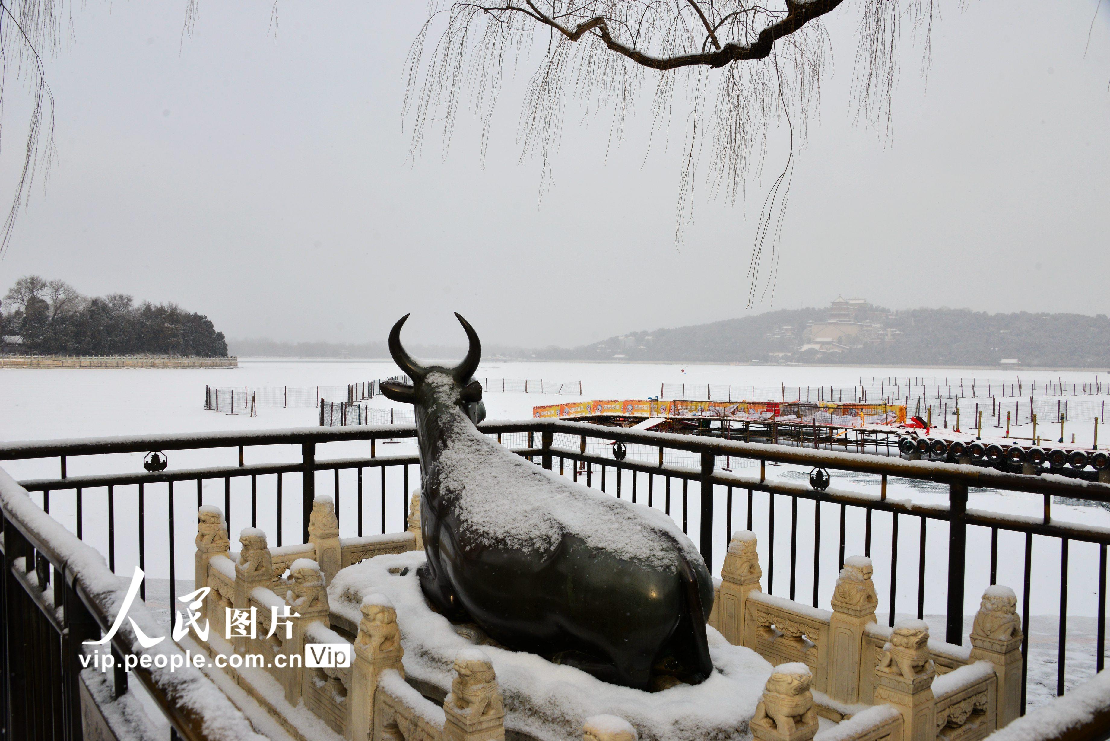 2021年1月19日，北京颐和园沉浸在银装素裹的白雪世界里。