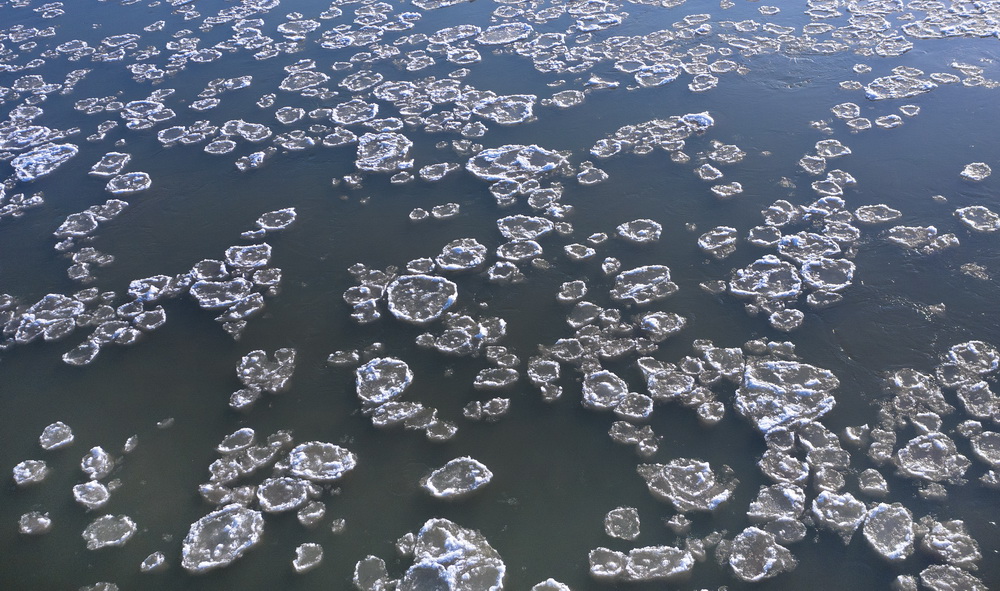1月19日拍摄的黄河陕西榆林佳县段冰凌（无人机照片）。