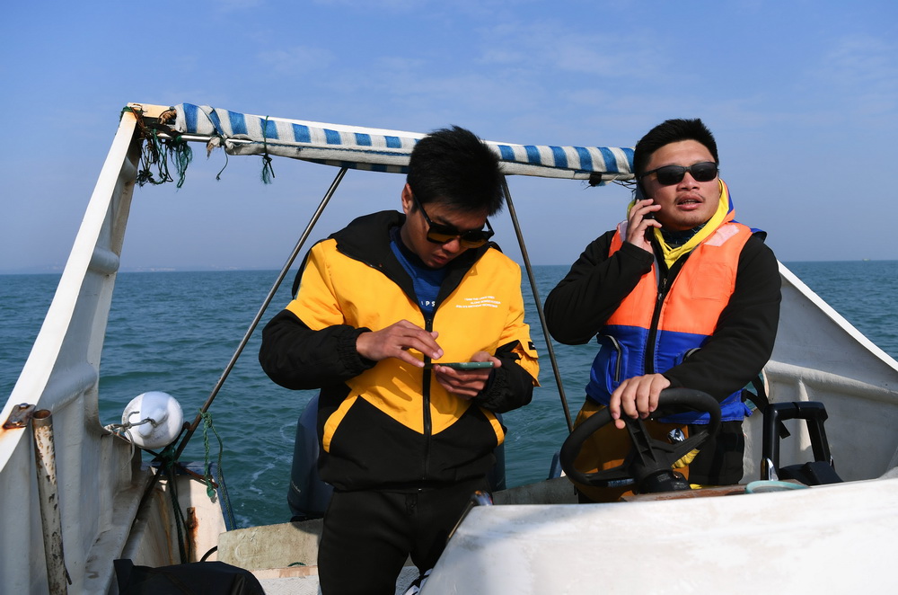 1月15日，楊承騰（左）在漁民微信群裡查看最新收到的目擊布氏鯨的方位，陳默接過舵盤向通報的方位行駛。新華社記者 陶希夷 攝