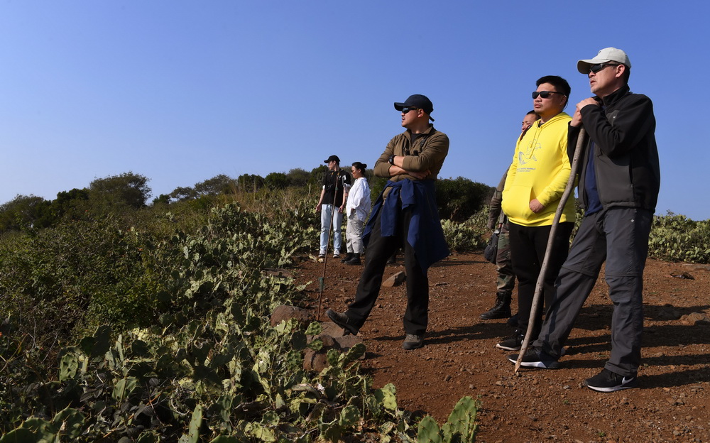 1月14日，吳立新、陳默、徐健（右一至右三）在斜陽島制高點遠眺。這裡將被作為布氏鯨觀測點。新華社記者 陶希夷 攝
