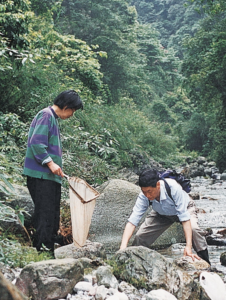 1994年，費梁（右）、葉昌媛夫婦在四川省峨眉山考察（資料照片）。新華社發