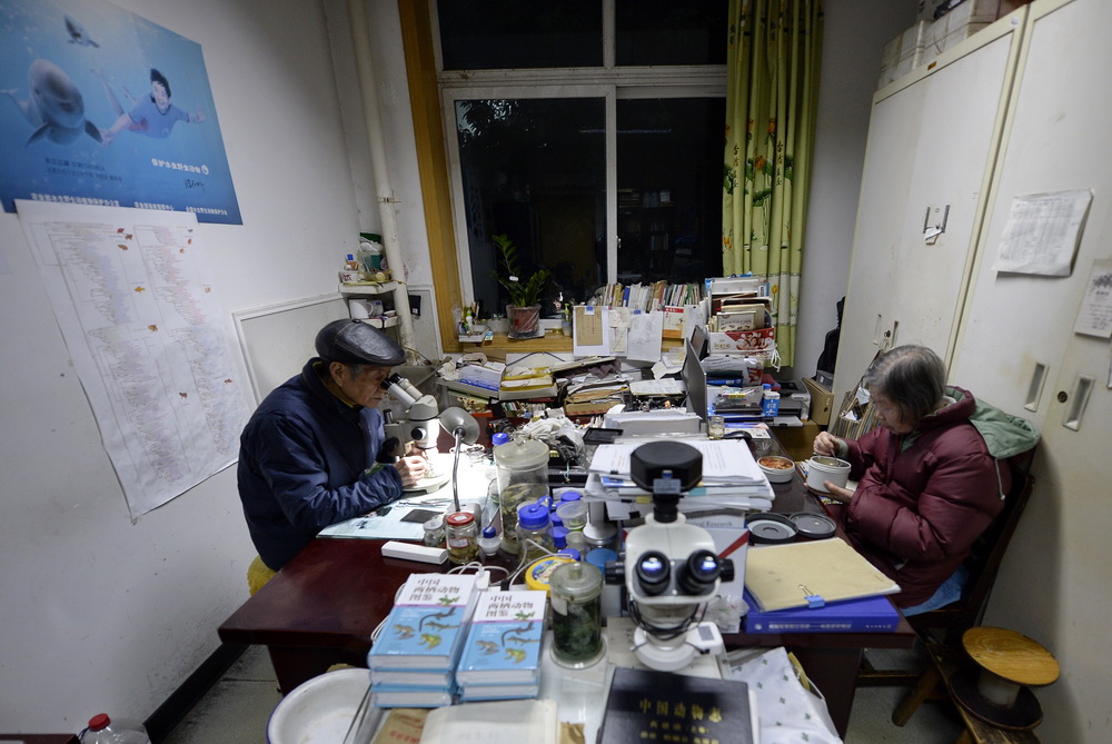 1月14日晚，葉昌媛（右）在辦公室吃自帶的晚飯，費梁在一旁繼續工作。新華社記者 劉坤 攝