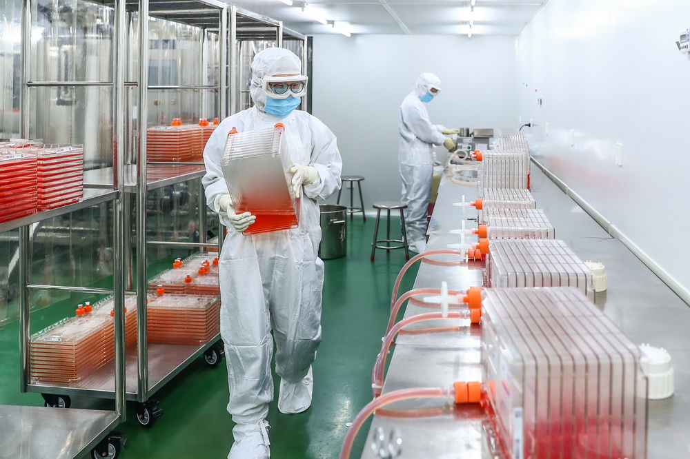 2020年3月23日，科興中維的工作人員利用細胞工廠進行Vero細胞培養（早期實驗室工藝）。新華社記者 張玉薇 攝