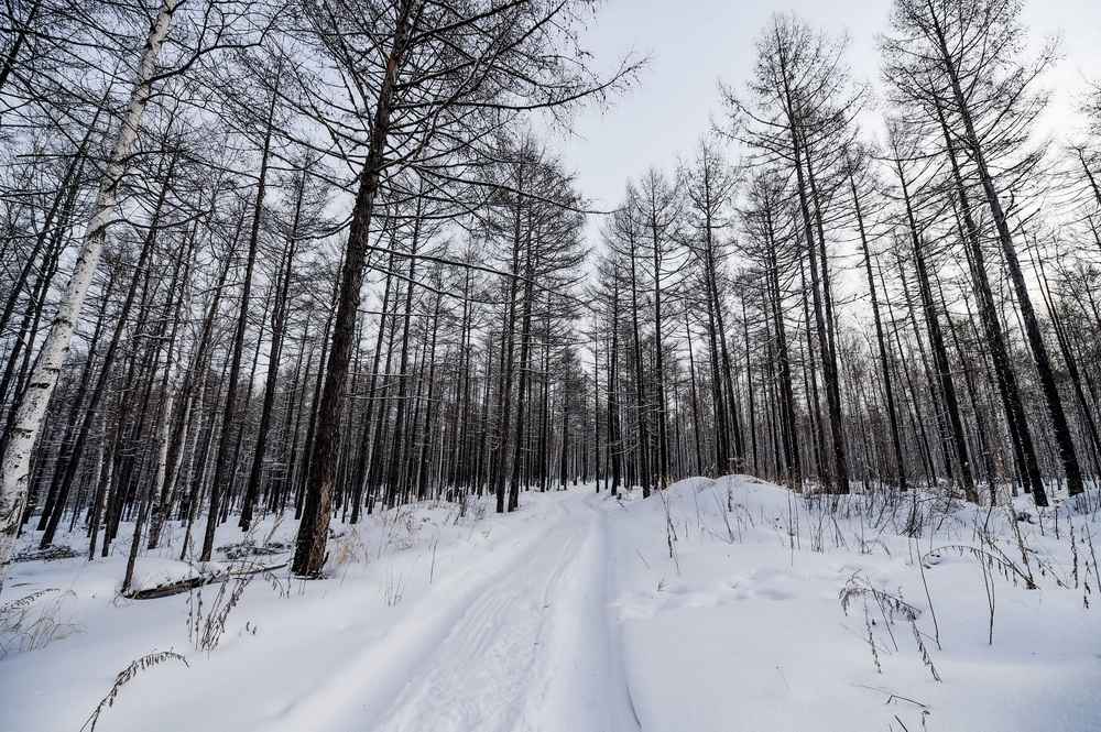 ����λ�ڴ��˰�������ɹŸ����н���򸽽�ѩ����1��25���㣩���»������ ���� ��