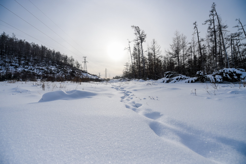 ����λ�ڴ��˰�������ɹŸ����н���򸽽�ѩ����1��25���㣩���»������ ���� ��